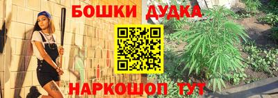 прущие грибы Вязники