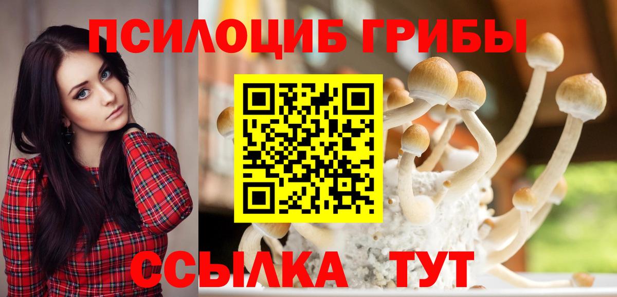 Волжск  Псилоцибиновые грибы Psilocybe  Вход с VPN  наркошоп  Псилоцибиновые грибы Cubensis 